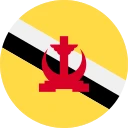 文莱元 (BND)