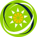 东加勒比元 (XCD)