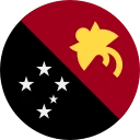 巴布亚新几内亚基那 (PGK)